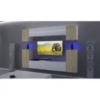 Furnitech Wohnwand Wohnzimmer - Hängend Wohnwand Modern - Wohnzimmer Schrankwand mit Regale und TV Schrank - Wohnzimmer Möbel ohne LED (AN43-17SW-HGM44 1B)