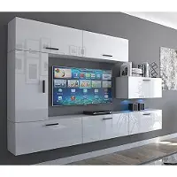 Furnitech Wohnwand Wohnzimmer - Hängend Wohnwand Modern - Regale und TV Schrank - Wohnzimmer Möbel ohne LED (Future C10/HG/W8 1B)