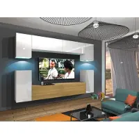 Furnitech Wohnwand Wohnzimmer - Hängend Wohnwand Modern - Regale und TV Schrank - Wohnzimmer Möbel ohne LED (Rodos AN43-17WD-HGM50 1B)