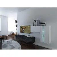 Furnitech Wohnwand Wohnzimmer - Wohnzimmer Möbel mit LED RGB - 16 Farben - Hängend Wohnwand Modern - Regale und TV Schrank (Cholet AN11-18BW-HG3 1A)
