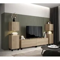 Furnitech Wohnwand Wohnzimmer - Hängend Wohnwand Modern - Regale und TV Schrank - Wohnzimmer Möbel ohne LED (AN106-21S-M3-1B)