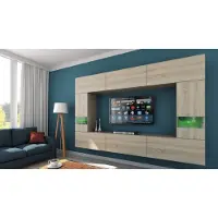 Furnitech Wohnwand Wohnzimmer - Wohnzimmer Schrankwand (Future C29/M/S4 1B)