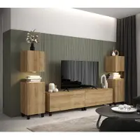 Furnitech Wohnwand Wohnzimmer - Wohnzimmer Möbel mit LED RGB - 16 Farben - Hängend Wohnwand Modern - Regale und TV Schrank (AN106-21DZ-M4-1B)