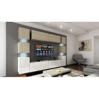 Furnitech Wohnwand Wohnzimmer - Wohnzimmer Möbel mit LED RGB - 16 Farben - Hängend Wohnwand Modern - Regale und TV Schrank (Future 14_HGM_WS_13 1A - 256 cm)
