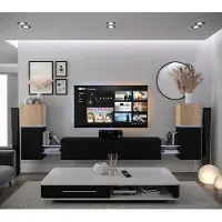 Furnitech Wohnwand Wohnzimmer - Wohnzimmer Möbel mit LED RGB - 16 Farben - Hängend Wohnwand Modern - Regale und TV Schrank (AN104-21SB-M10 1C)