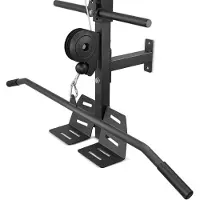 Selius Latziehen (an der Maschine) - Wandmontierte Latziehenmaschine - Kabelzugmaschine - Rückentrainer - Kraftstation - Kompaktes Design