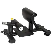 Selius Fitnessgerät: Sissy Squat Maschine, kompakt, schwarz, 27 kg Gewicht, Metall