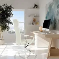 Selius OFFICE STRYKA: Bürostuhl, atmungsaktiv, Drehstuhl mit extra hoher Rückenlehne, Neigemechanismus und gepolsterten Lendenwirbelstützen, beige