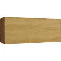 Furnitech Wohnwand Wohnzimmer - Hängend Wohnwand Modern - Regale und TV Schrank - Wohnzimmer Möbel (GS4, Gold Eiche)
