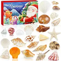 OCreon Kerst-Adventskalender 2025: 24 Tage bis Weihnachten – Strand- und Maritim-Geschenk mit Seestern