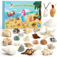 OCreon Adventskalender 2025 für Kinder – 24 Tage bis Weihnachten – Muscheln – Adventskalender
