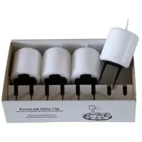 Kopschitz Kerzen 4er Set Adventskerzen mit Safety Clip und Kerzenstecker (Haltekrallen) Weiß 8 x ? 5 cm