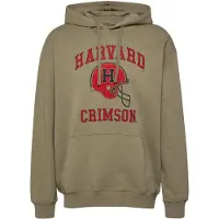 s.Oliver Sweatshirts Army Green Größe: M | Kaputzenpullis Outlet | Herren | Grün