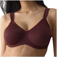 Triumph Essential Minimizer T W Minimizer-BH