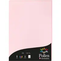 Pollen Papier