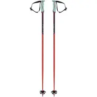 Völkl Phantastick 18mm Stöcke