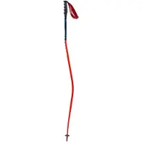 Swix World Cup Pro Donwhill Stöcke