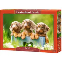 Castorland 500 Piece Jigsaw Puzzles, Cute Dachshunds, Animal Puzzle, Dogs, Puppies, Adult Puzzle, B-53605