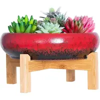 Merkloos Elzusha – Großer Bonsai-Topf mit Standfuß für Sukkulenten und Kakteen