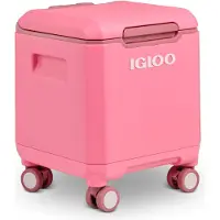 Igloo Tag a long2 Spinner 360 Pink