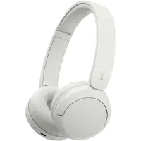 Sony WH-CH530