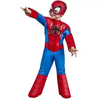 Marvel Spiderman Kostüm 2-3 Jahre