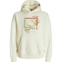 Jack & Jones Lucca Graphic Kapuzenpullover