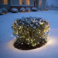 Esotec Solar Lichterkette Outdoor LED Gartenbeleuchtung Terrasse Balkon 103501