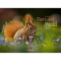 Merkloos Wandkalender mit Wildtieren – 45 x 33 cm