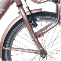 Alpina Fork 22 Clubb Rose Gold Matt