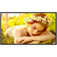 LG 32ul5q M.aeuq Werbemonitor