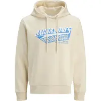 Jack & Jones Logo 2 Col Kapuzenpullover