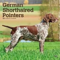 BrownTrout Deutscher Stehkalender 2027