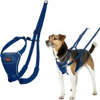 Halti Erziehungsgeschirr No Pull Harness Cobalt Blue, Größe: S