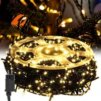 Eikuavons 30M LED Lichterkette 300LEDs 8 Modi mit Memory Funktion, Weihnachten Party Garten Bedienung Funkelnder Sterneffekt Deko Warmweiß