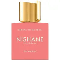Nishane Meant To Be Seen Extrait de parfum 15 ml