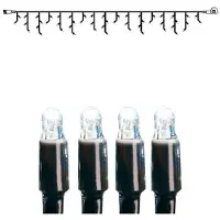 Star Trading 465-48-1, Leichte Dekorationskette, Schwarz, Transparent, IP44, 50 Glühbirne(n), LED, 1,6 W