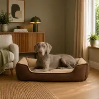 Belviona Hundebett, wendbares Hundekörbchen mit 2-in-1 Funktion, weich gepolstert & pflegeleicht, 110x80 cm, braun/beige