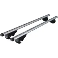 Selius Aluminium-Dachgepäckträger, Universalset für Autos mit offener Dachreling – Tragfähigkeit: 90 kg – Länge: 120 cm