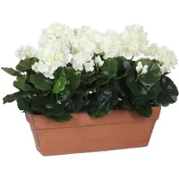 Mica Decorations Geranien Kunstpflanze im Balkonkasten - L39 x B13 x H40 cm - Weiss