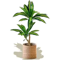Markenlos Kunstpflanze Dracaena 105 cm - Hyperrealistische Dekoration für Zuhause und Büro