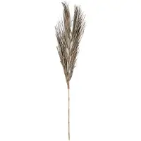 DRW Verlag DRW Set mit 6 Zweigen aus natürlichen Grasblättern in Grün, 150 cm