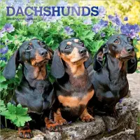 BrownTrout Dackel Kalender 2027
