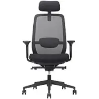 Nowy Styl ELOVIE Ergonomischer Stuhl Synchronneigung 4D-Armlehnen Höhenverstellbare Sitzfläche Schwarz 110 kg 640 mm x 1.145 mm