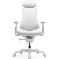 Libernovo - LNGL1Omni - Ergonomischer Stuhl
