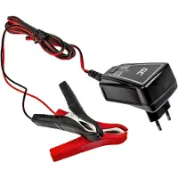 Green Cell ACAGM06, 12/6 V, 1 A, 220 - 240 V, 50 Hz, Überlastschutz, IP65