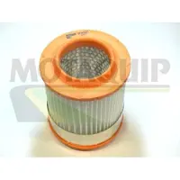 MOTAQUIP Luftfilter VFA1125