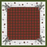 Duni Bio Dunicel-Mitteldecke 84 x 84 cm Naturally winter, 100 Stk/Krt (5 x 20 Stk)