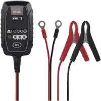 Emos Autobatterieladegerät /12V 0,8A