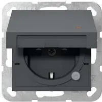 Gira SCHUKO-Steckd. KD Kontroll + SP System 55 Anthrazit 455228
